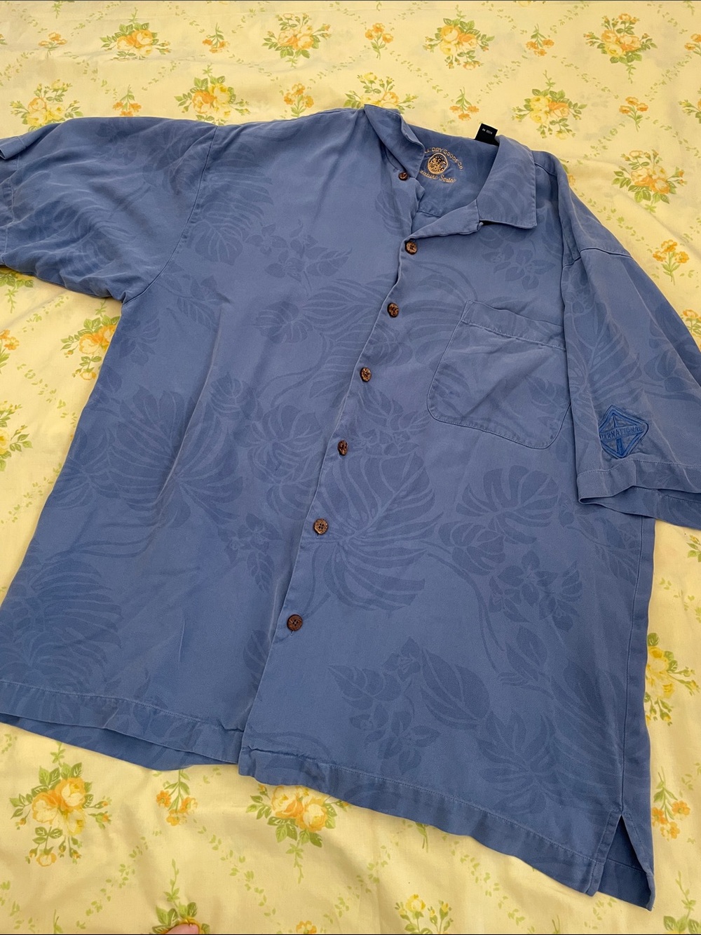 Eagle Dry Goods 100% Silk Button Down